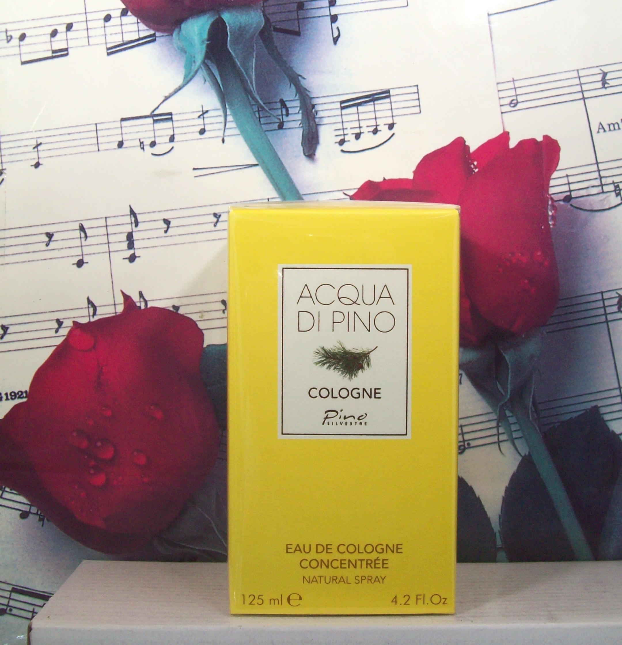 Acqua Di Pino By Pino Silvestre 4.2 OZ EDC Concentree Spray bottle front view