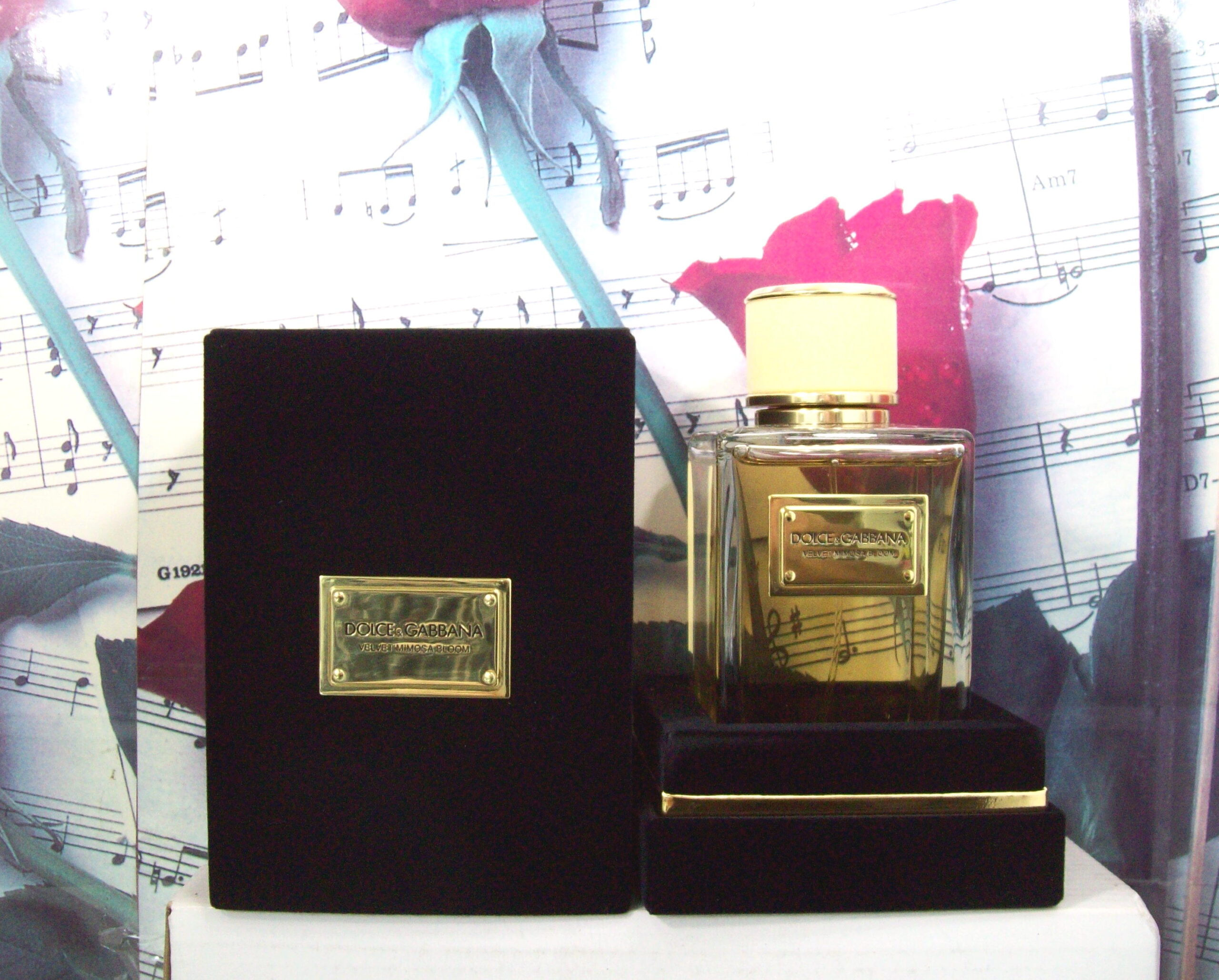 Velvet Ginestra Perfume bottle 5.0 OZ. EDP Spray