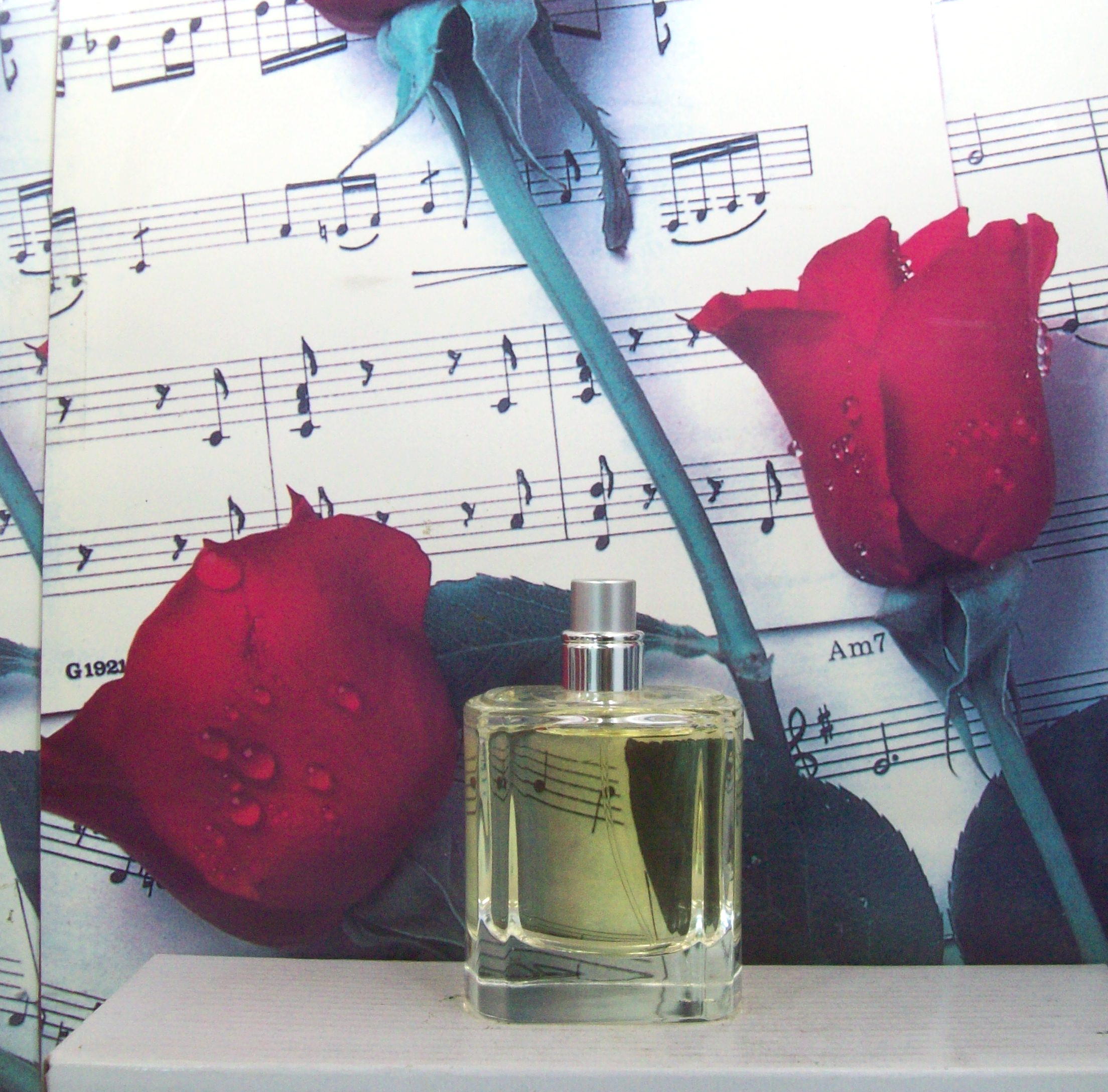 Danielle Steel EDP 1.7 OZ perfume bottle front view