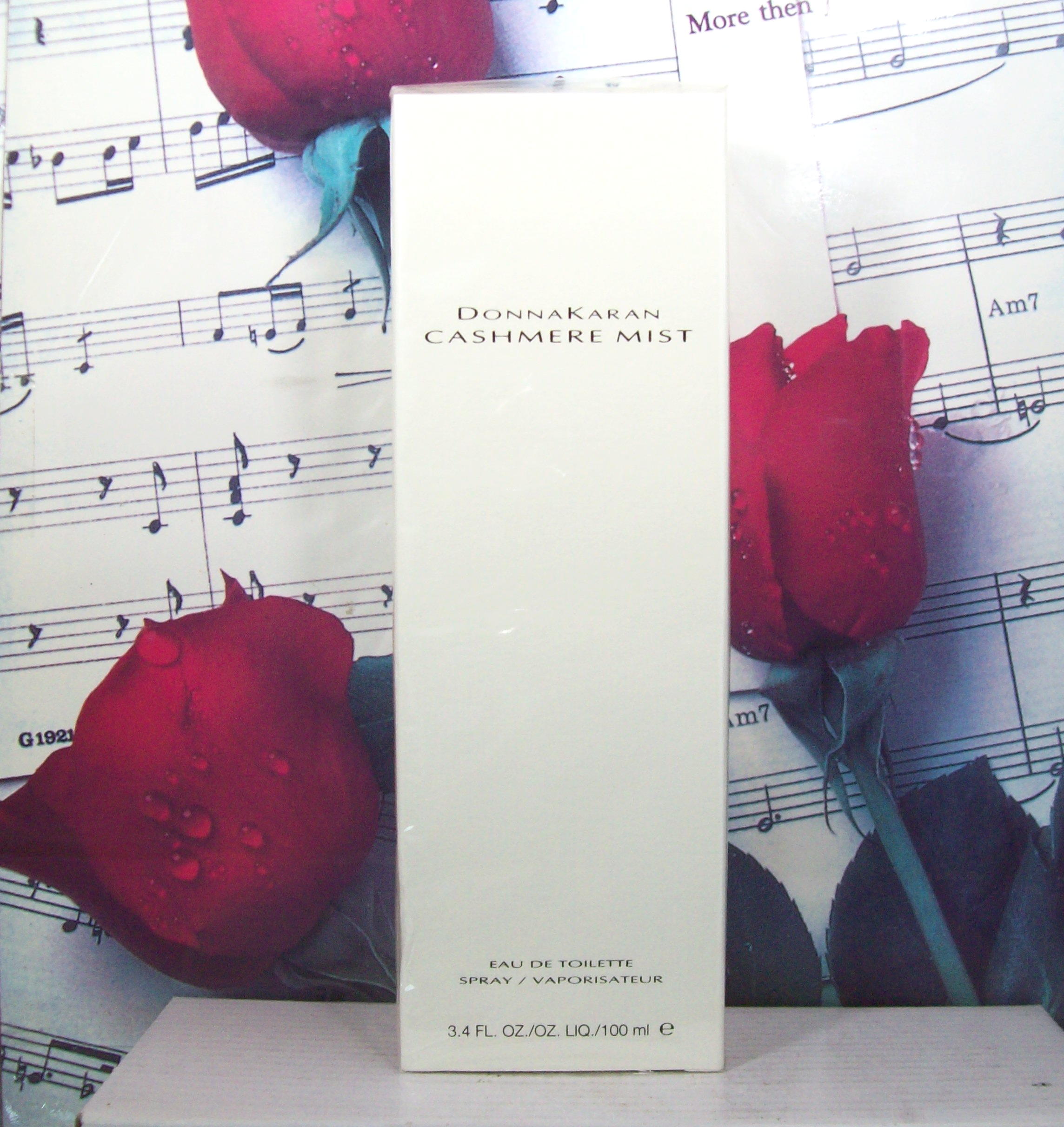 Donna Karan Cashmere Mist EDT 3.4 oz perfume bottle front view