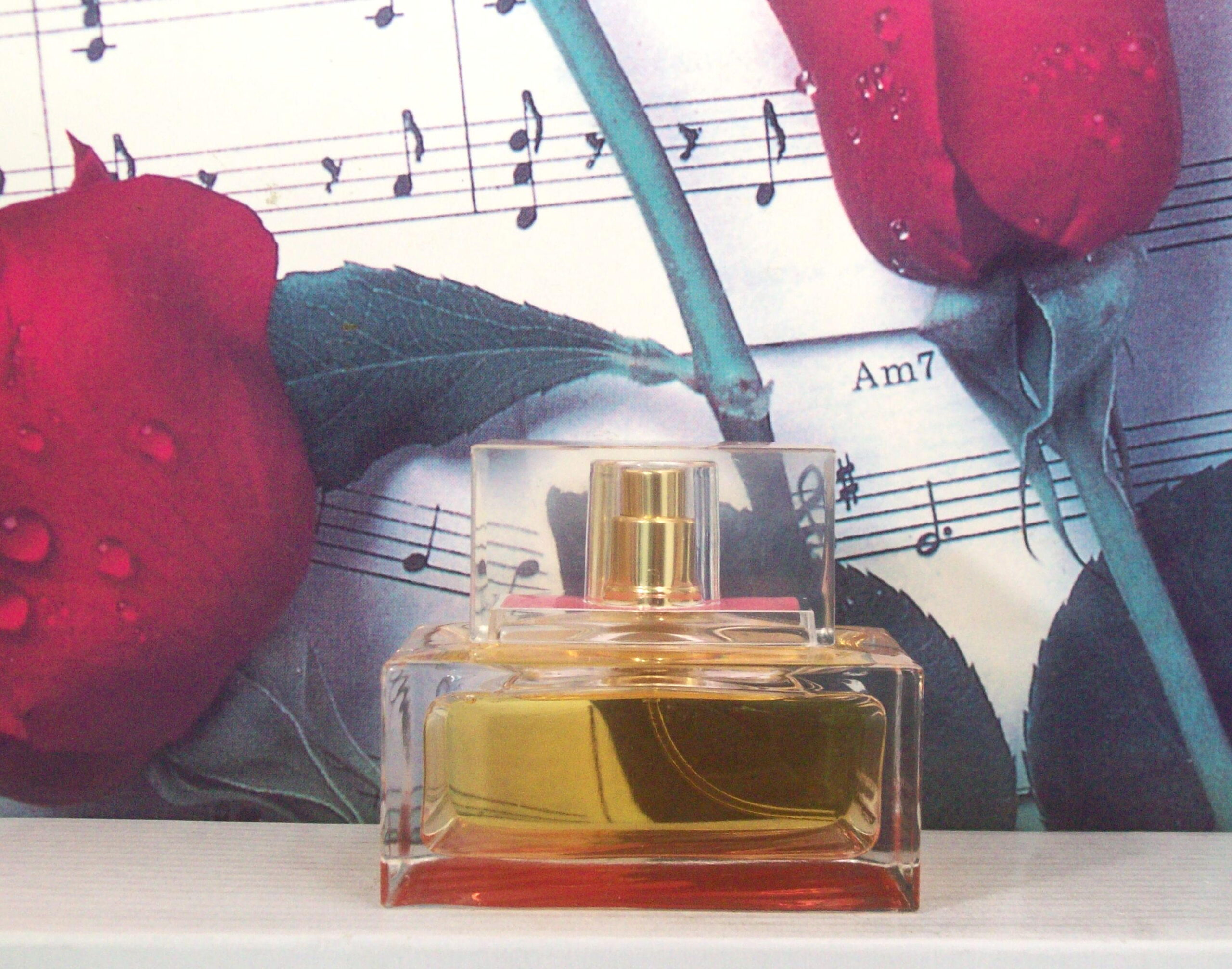 Michael Kors Island Capri 1.7 OZ EDP Spray front view
