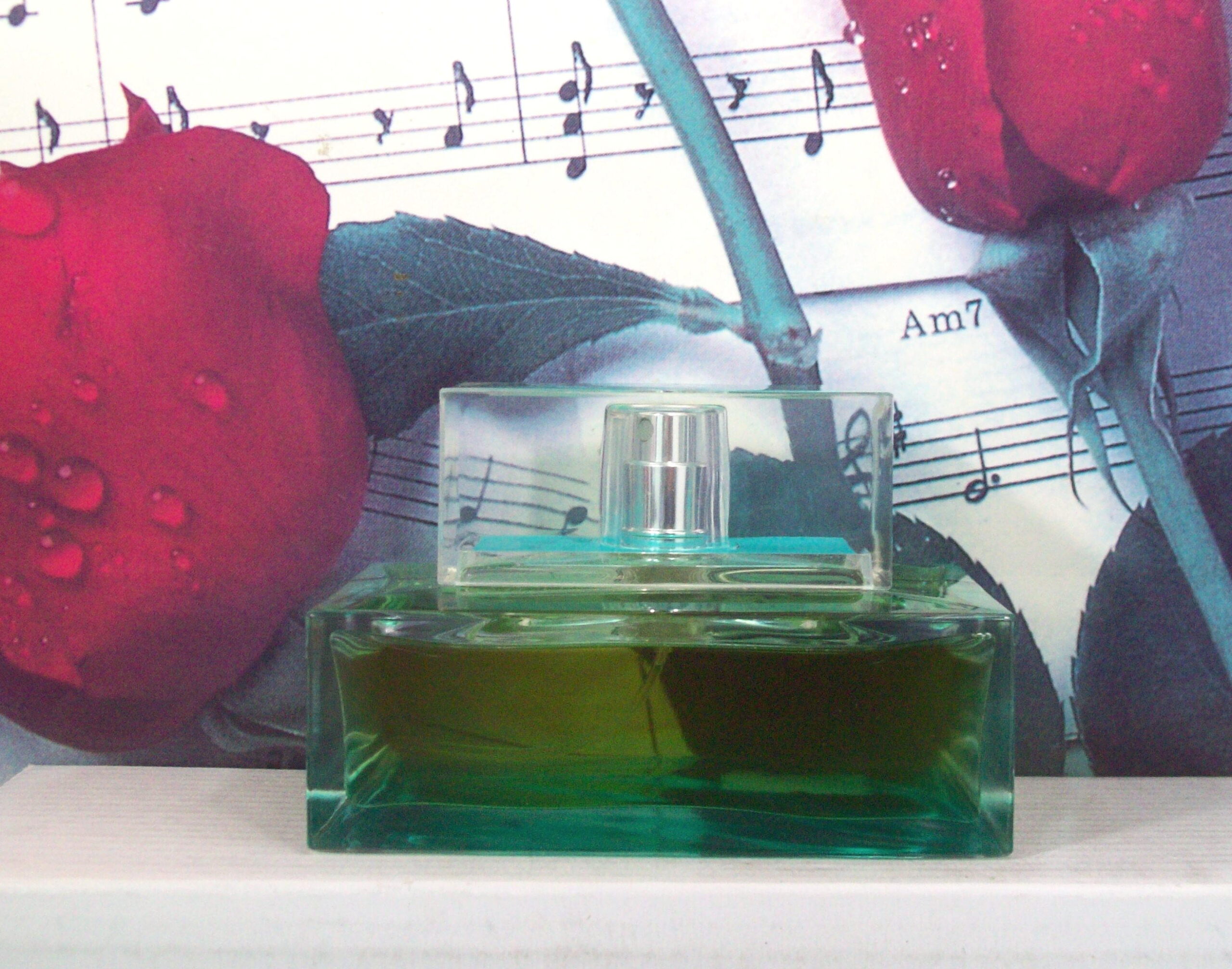 Michael Kors Island EDP 3.4 OZ Spray front view